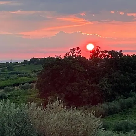 La Limonaia Bed & Breakfast