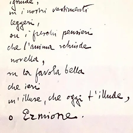 Bed & Breakfast La Limonaia