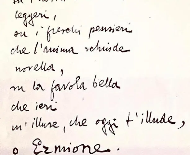Alojamento de Acomodação e Pequeno-almoço La Limonaia